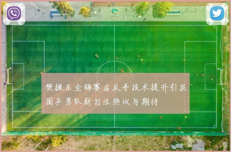 樊振东全锦赛后反手技术提升引发国乒男队新打法热议与期待